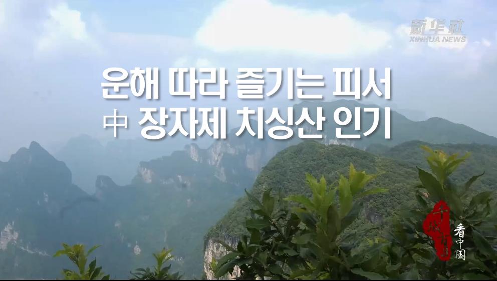 운해 따라 즐기는 피서...中 장자제 치싱산 인기