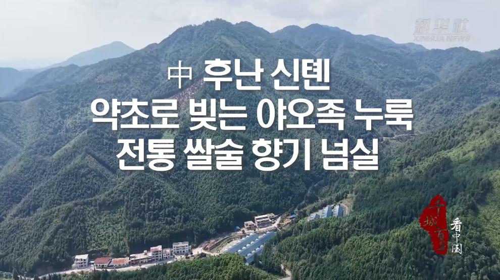 中 후난 신톈, 약초로 빚는 야오족 누룩...전통 쌀술 향기 넘실