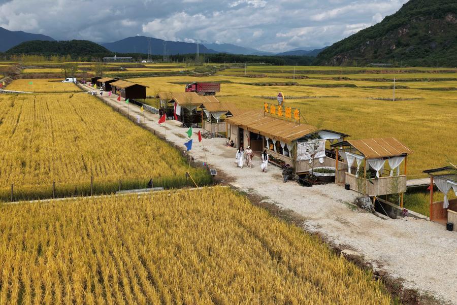 지난 7일 윈난(雲南)성 텅충(騰衝)시 장난(江南)촌의 논밭 카페를 찾은 관광객들을 드론으로 내려다봤다. (사진/신화통신)