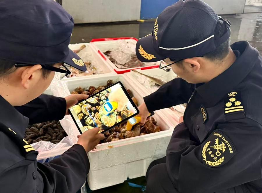 5월 27일 룽청해관 직원이 한국산 냉장 수산물의 상태를 살펴보고 있다. (사진/신화통신)