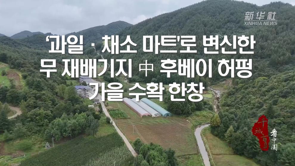 '과일·채소 마트'로 변신한 무 재배기지...中 후베이 허펑, 가을 수확 한창