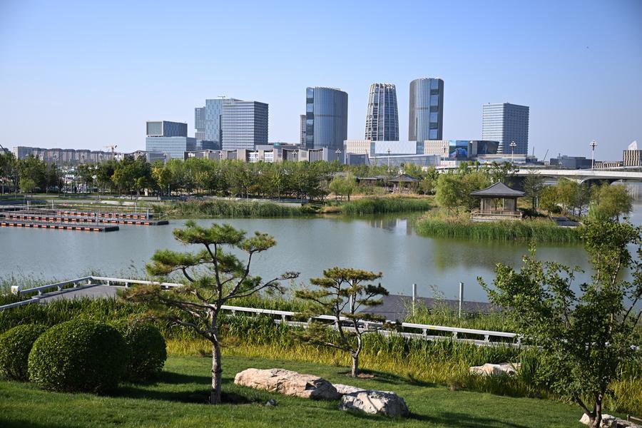 멀리서 바라본 슝안(雄安)신구 개시구역 본사 비즈니스구역. (사진/신화통신)