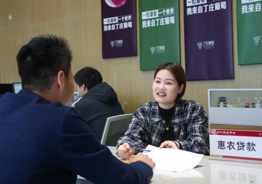 4월 17일 장쑤(江蘇)성 쥐룽(句容)시의 한 포도전문합작연합사 서비스센터에서 한 직원(오른쪽)이 포도 재배 농가에 농업 지원 대출 관련 정책을 설명하고 있다. (사진/신화통신)