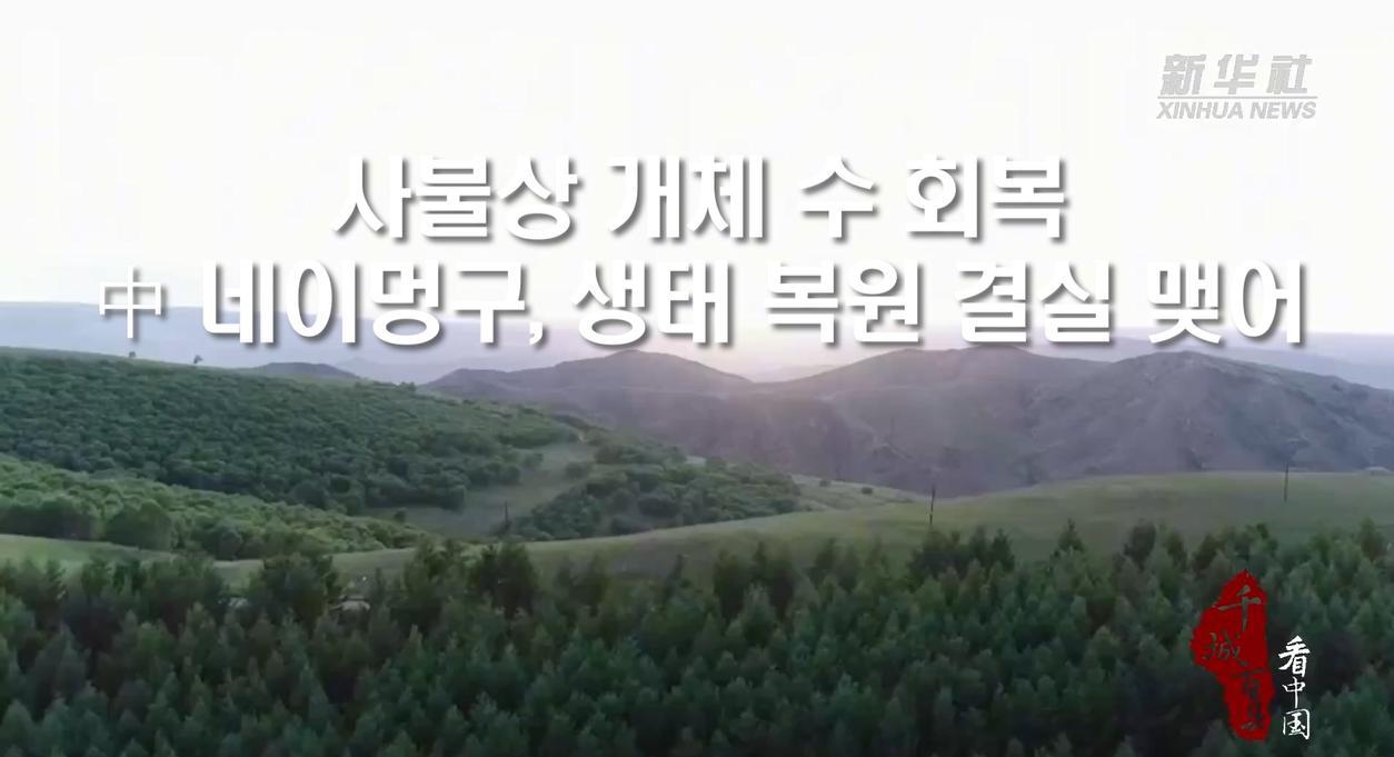 사불상 개체 수 회복...中 네이멍구, 생태 복원 결실 맺어
