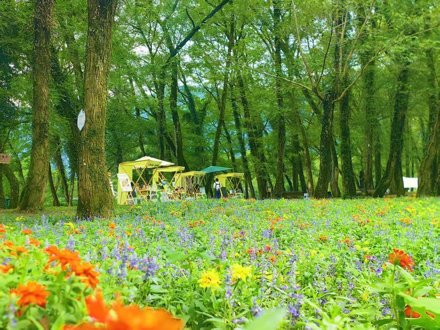 국경절 연휴 기간 안후이성 황산(黃山)시 황산구 셴위안(仙源)진에서 '숲속 마이크로 여행'을 즐기는 관광객. (사진/신화통신)