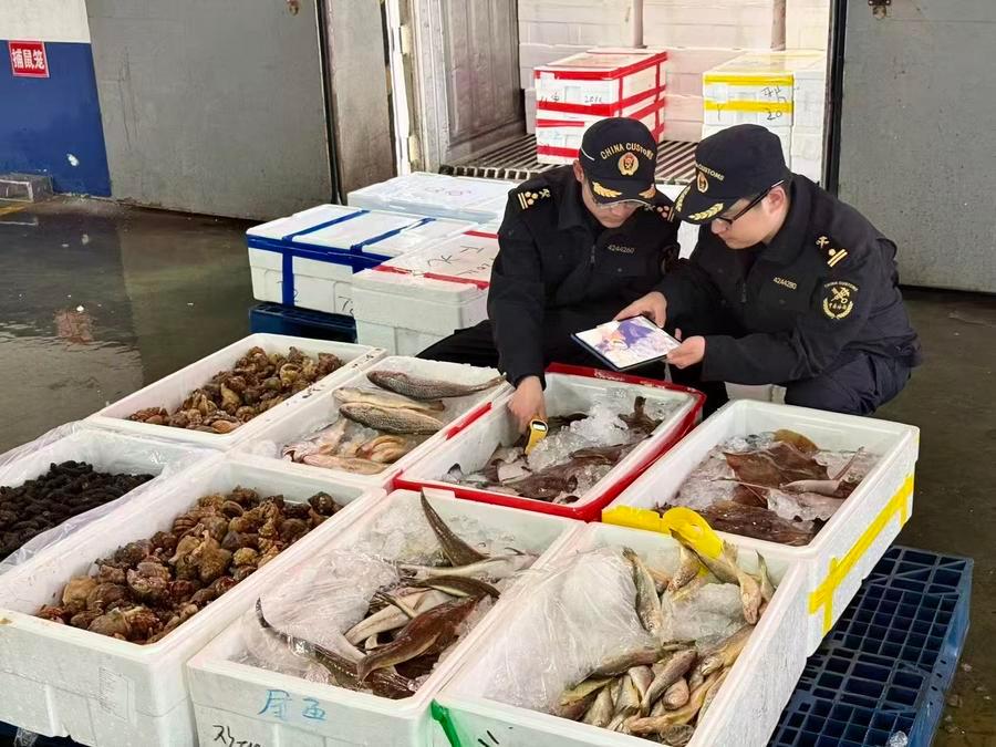 지난 5월 27일 룽청(榮成)해관(세관) 직원이 한국에서 수입된 냉장 수산물을 검사하고 있다. (사진/신화통신)